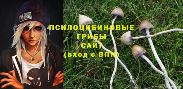 дмт Арсеньев